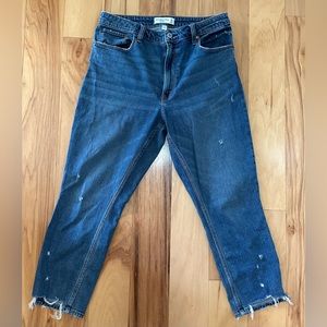 ABERCROMBIE & FITCH Curve Love High Skinny High Rise